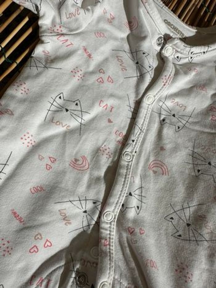 Grenouillère - photo numéro 2