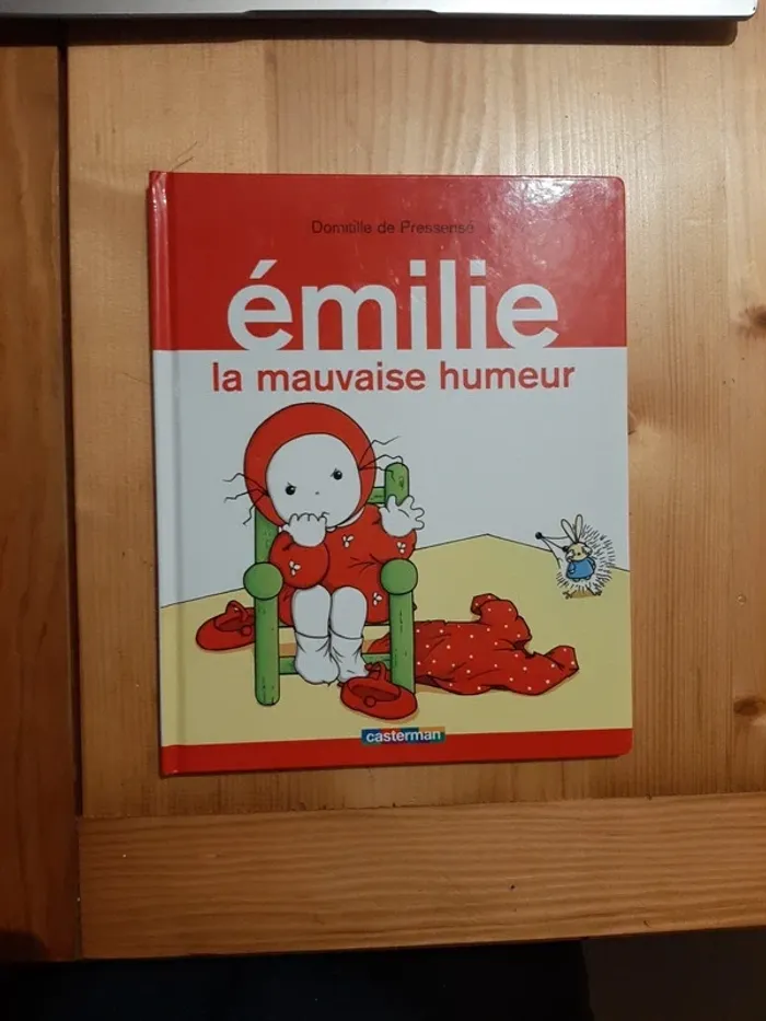 Livre Émilie la mauvaise humeur