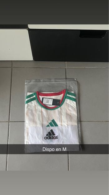 Maillot Algérie domicile 2026 🇩🇿 – Taille M 