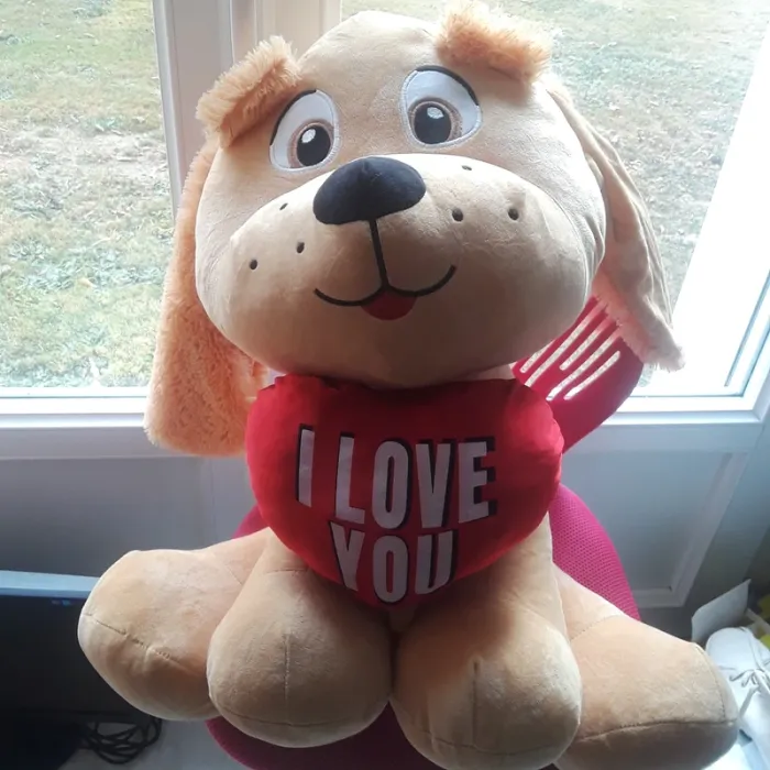 Gros nounours chien - photo numéro 2