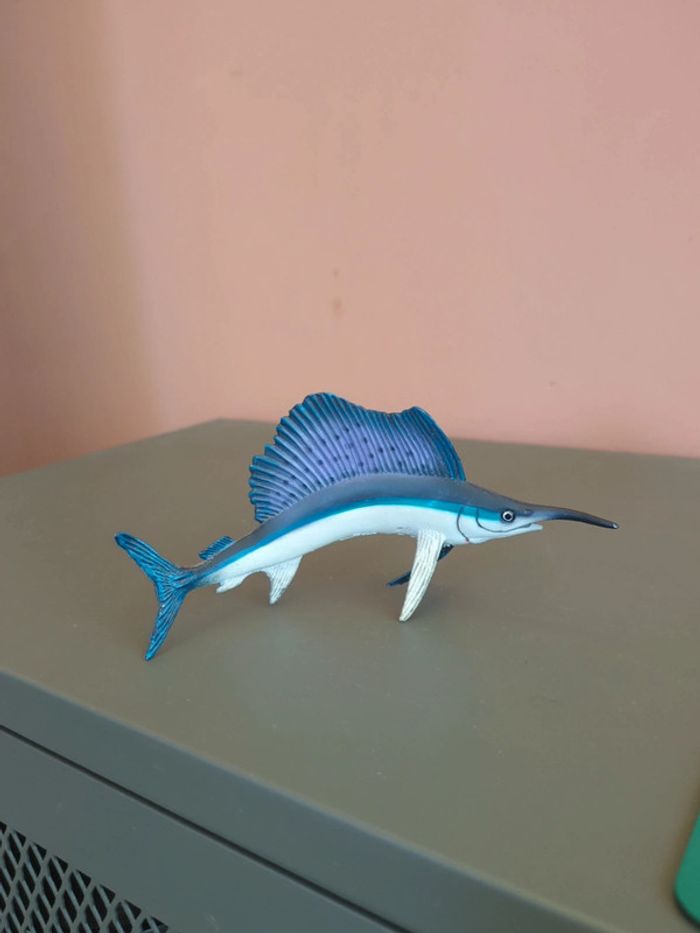 Poisson Safari