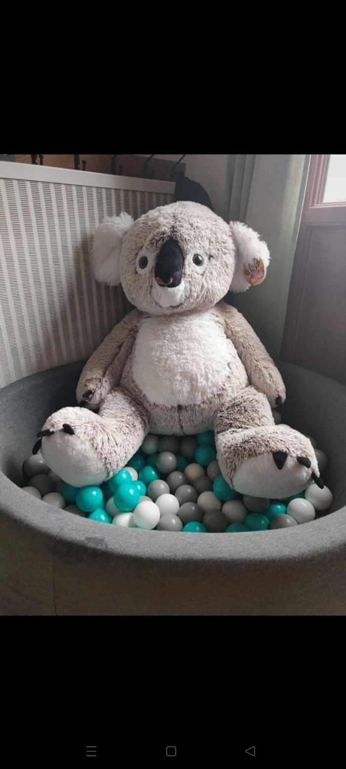 Koala XXL - photo numéro 4