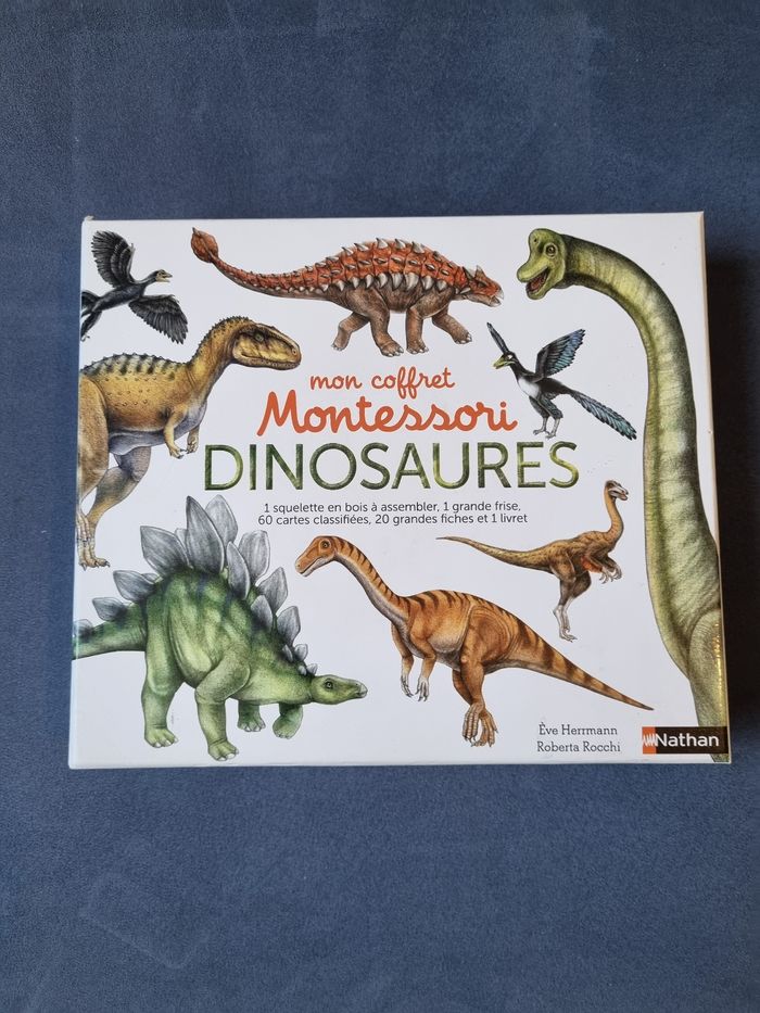 Coffret montessori dinosaures - photo numéro 2