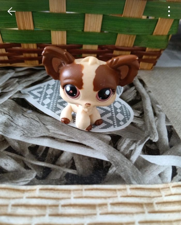 Pet shop