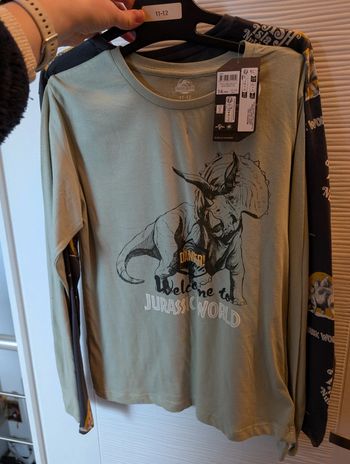 Lot t-shirts Jurassic world 12 ans