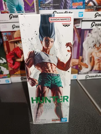 Hunter x Hunter Fig-life Gon adulte