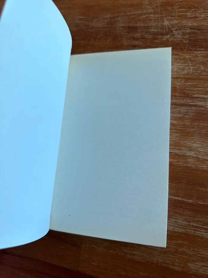 Livre sacrilège à blackFriars - photo numéro 4