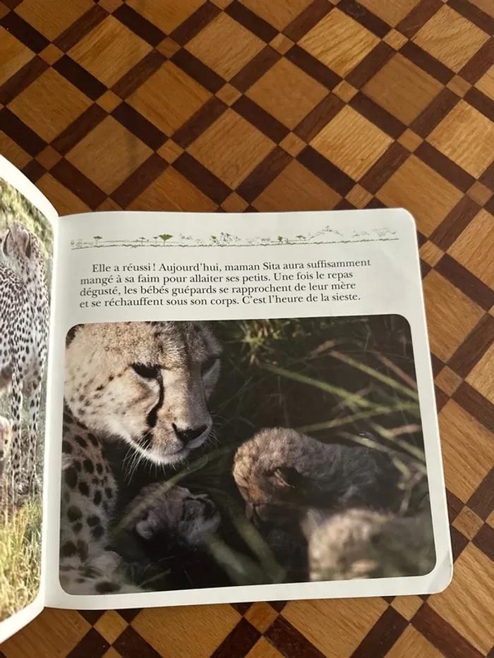 Livre Disney Nature - Félins - photo numéro 3