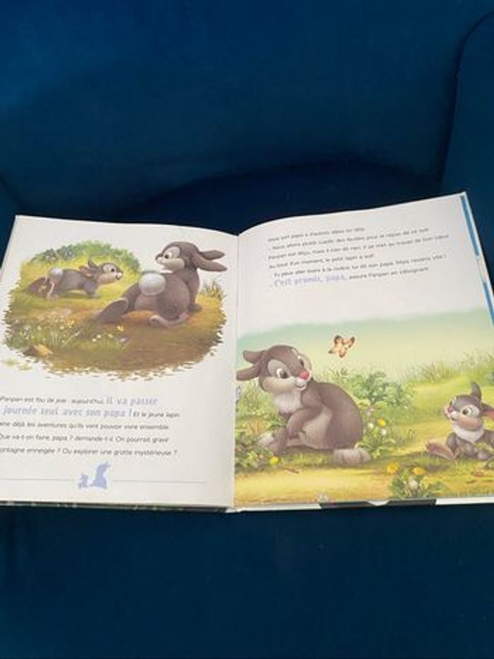 Livre Disney - photo numéro 8