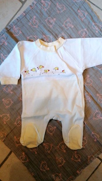 Grenouillère poussins