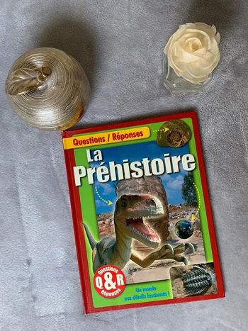 La Préhistoire en Questions/Réponses