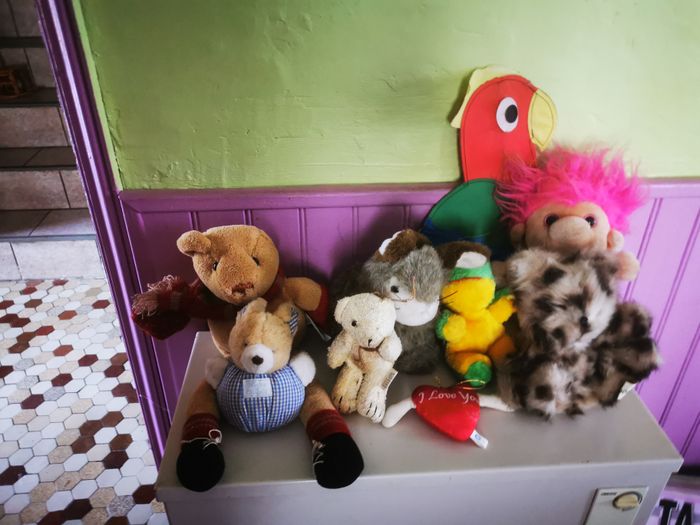 Peluches - photo numéro 3