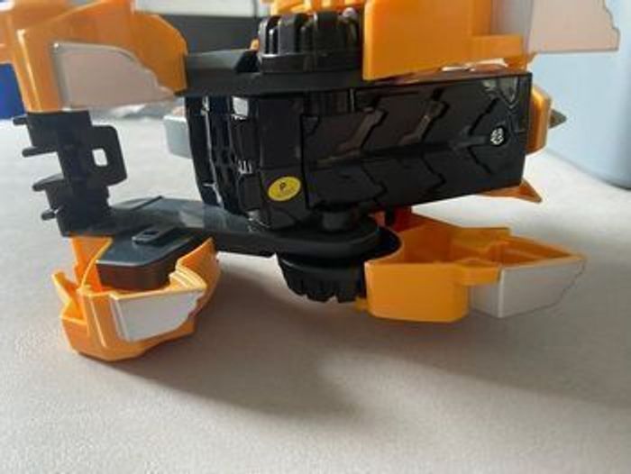 Molops super tricératops - photo numéro 4