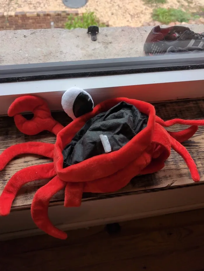 Chapeau crabe adulte gifi - photo numéro 2