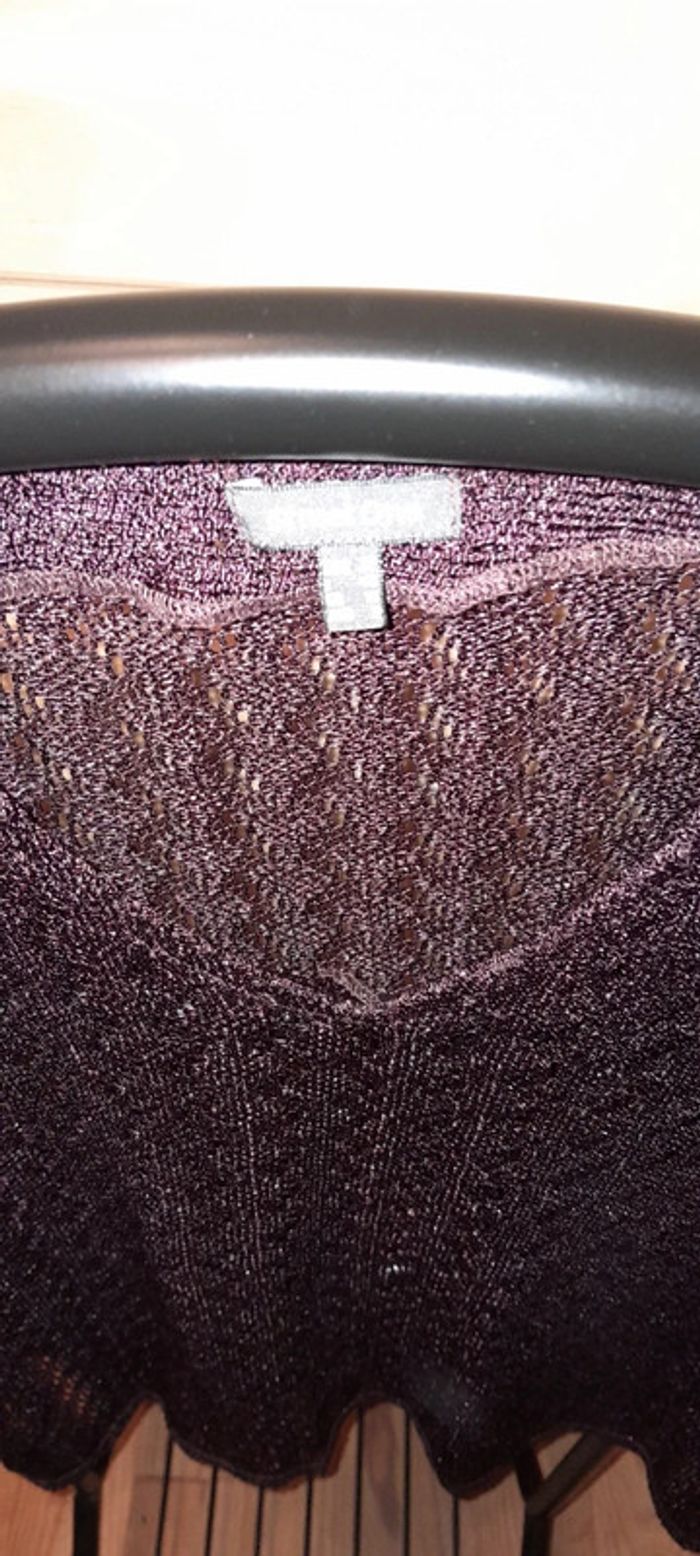 Tunique transparente - photo numéro 2