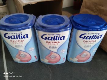 Gallia calisma