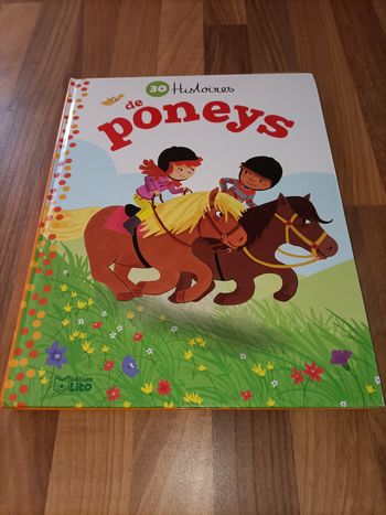 Livre 30 histoires de poneys