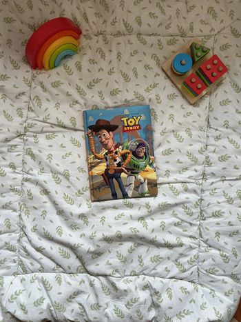 livre Disney Toy story collection France loisirs