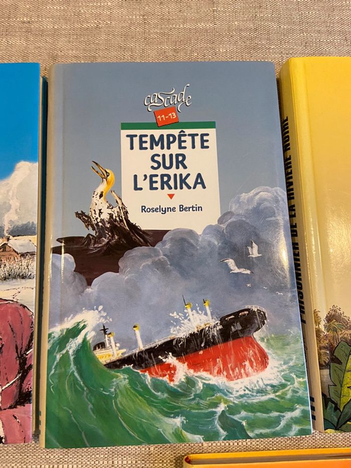 Lot de cinq romans jeunesse lecteurs 10/12 ans - photo numéro 3