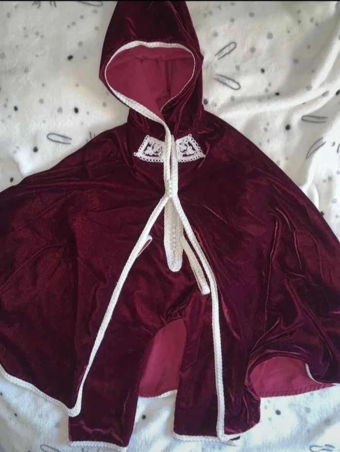 Jabador aubergine et blanc - photo numéro 2