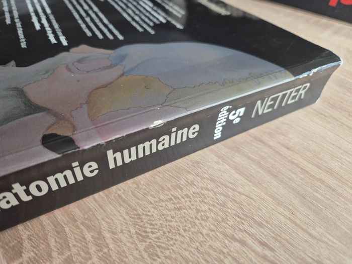 Atlas d’anatomie humaine Frank Netter –5e édition - photo numéro 3