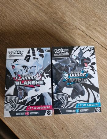 Duo bundle pokemon 10.5