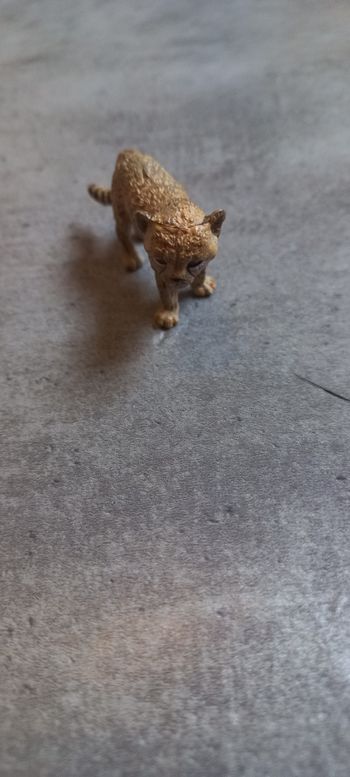 Petit guépard papo