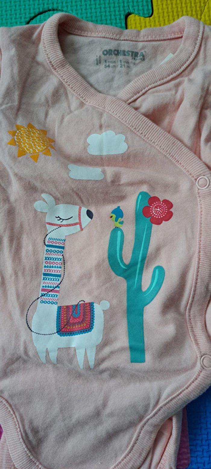 Lot de 6 bodies ML 1 mois + 1 bonnet - photo numéro 6