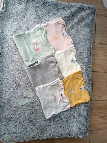 6 bodies