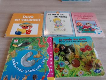 Lot de 5 livres cartonnés, divers (10)