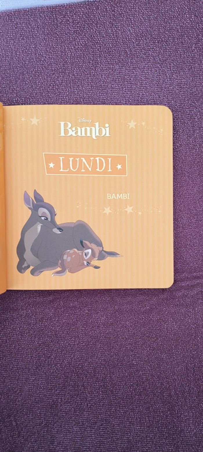 Livre Disney 7 histoire pour la semaine - photo numéro 5