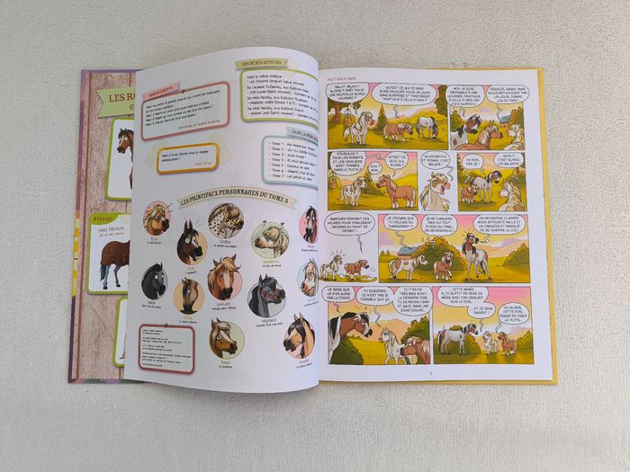 Livre À cheval 5 Delcourt - photo numéro 4