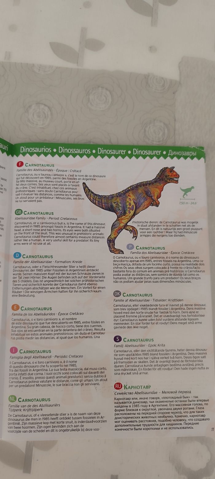 Puzzle d'observation Dinosaures - photo numéro 9