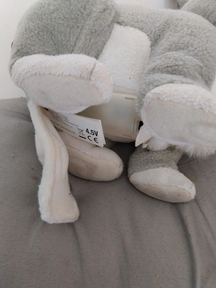 Lapin sonore - photo numéro 3