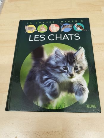 Agnès Vandewiele

Les chats