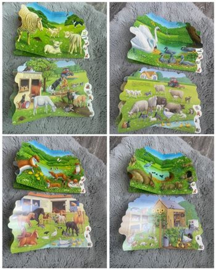Lot de 2 livres sur la campagne (Trifora) - photo numéro 5