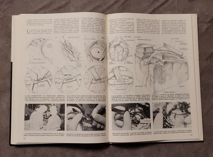 Le cerveau Hubel, David - photo numéro 7
