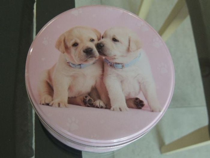 Boîte en métal chien