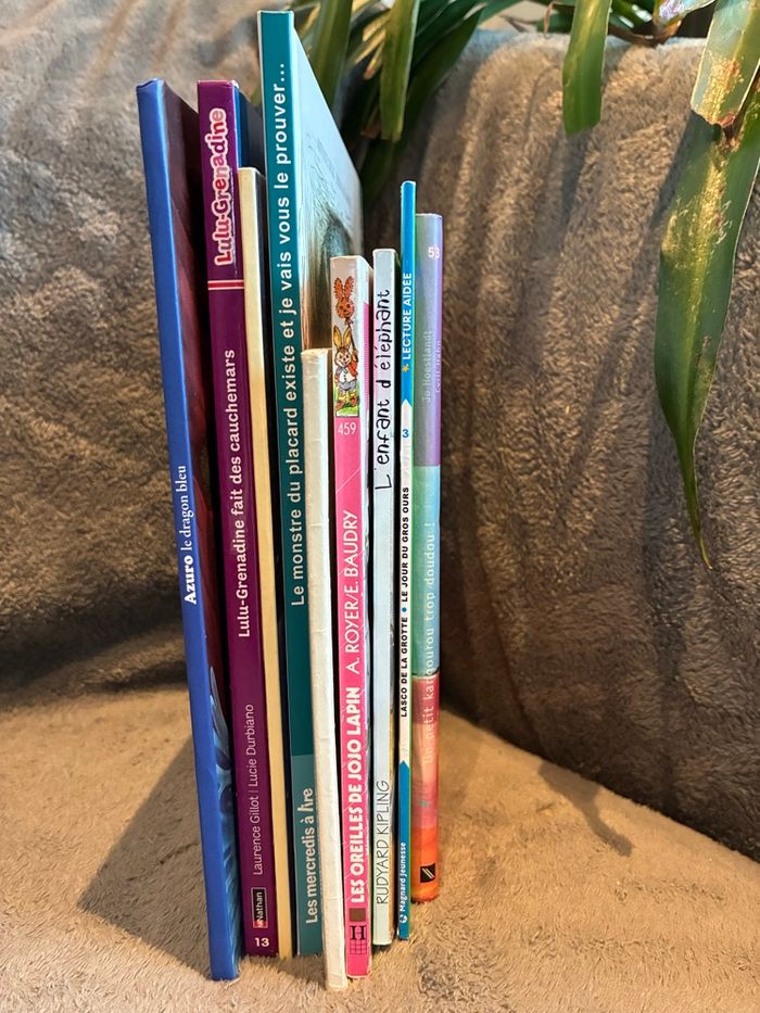 Lot livres jeunesse premières lectures - photo numéro 4