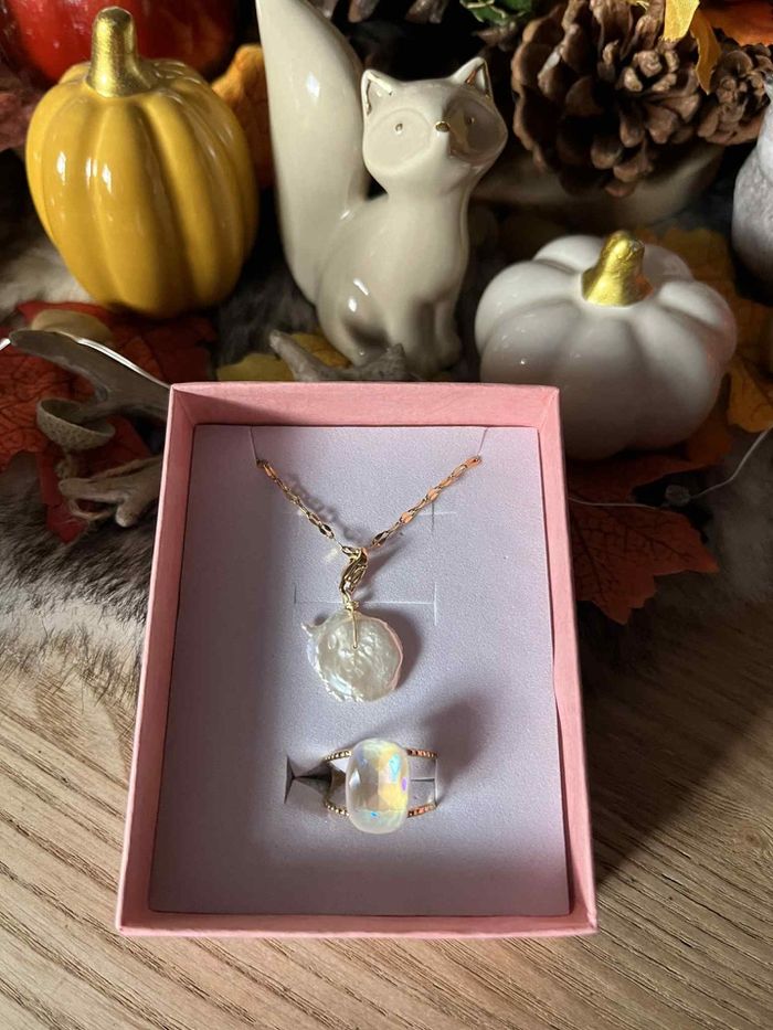 Parure bijoux - photo numéro 2