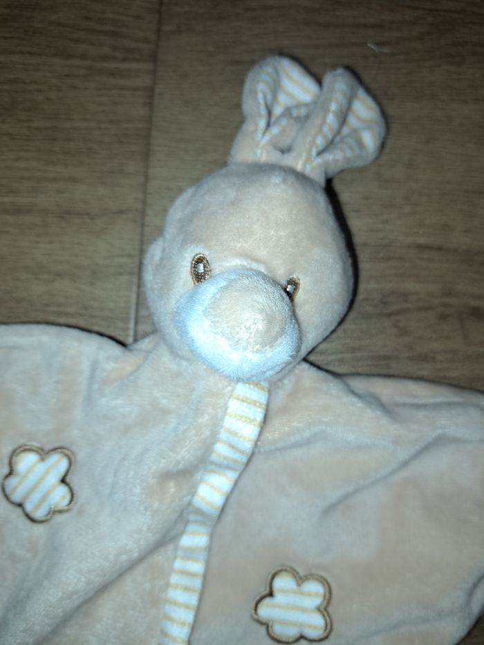 Lapin - photo numéro 2