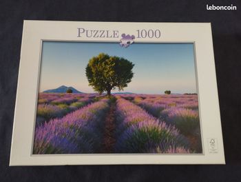 Puzzle 1000 pièces