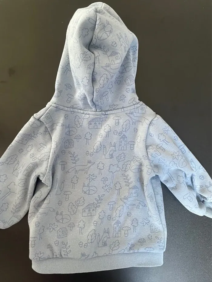 Veste à capuche - TAO - 9 mois - photo numéro 3