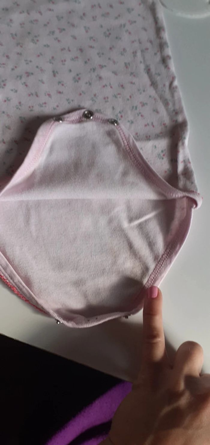 Lot de 3 bodies manches courtes 18 mois - photo numéro 8