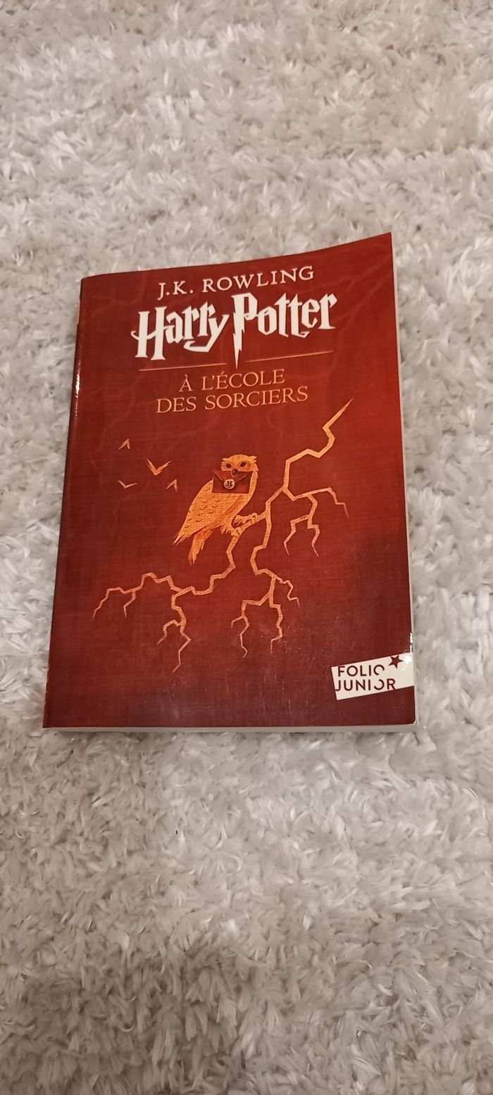 Harry potter à l'école des sorciers tome 1, j.k rowling