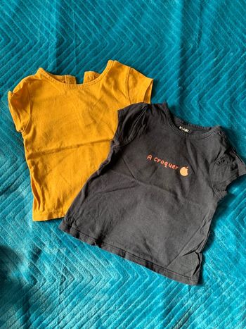 Lot 2 tee shirts fille 9 mois