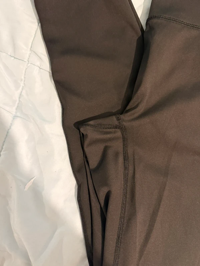 Mayas gimshark - photo numéro 2