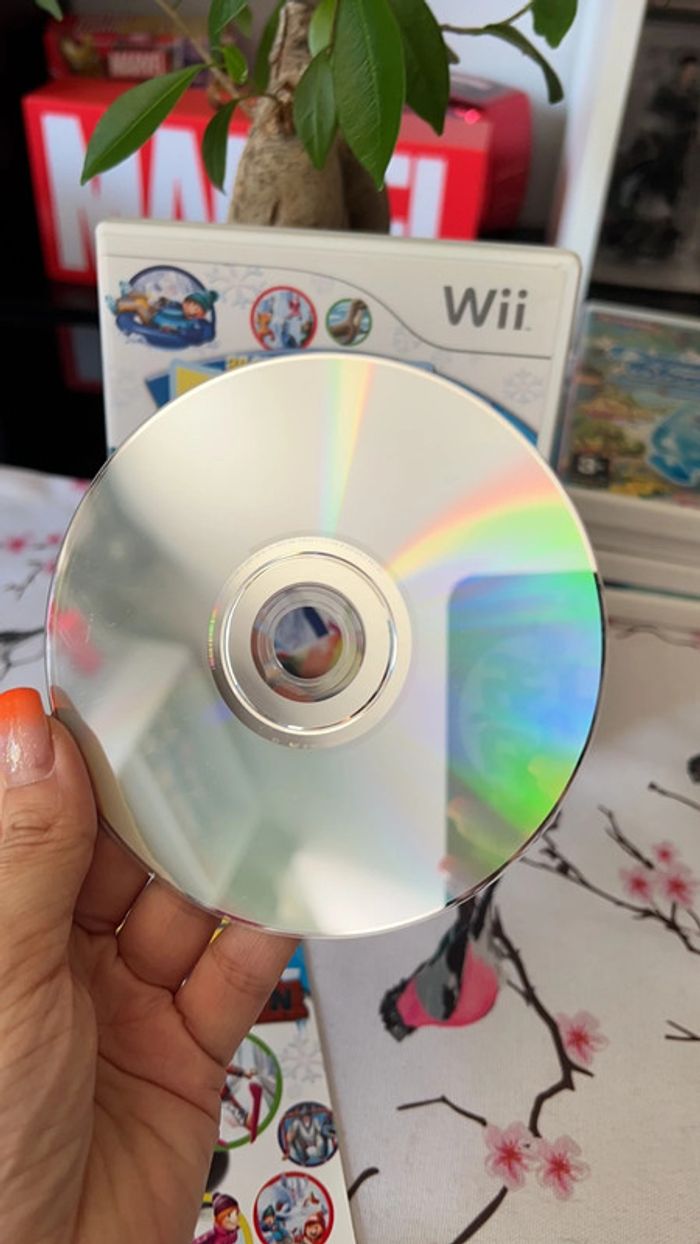 Jeu de wii family party winter fun - photo numéro 2