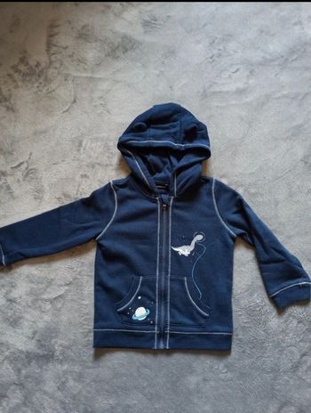 Sweat dinosaure 3 ans