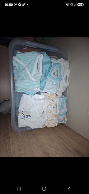 Lot de 7 bodies